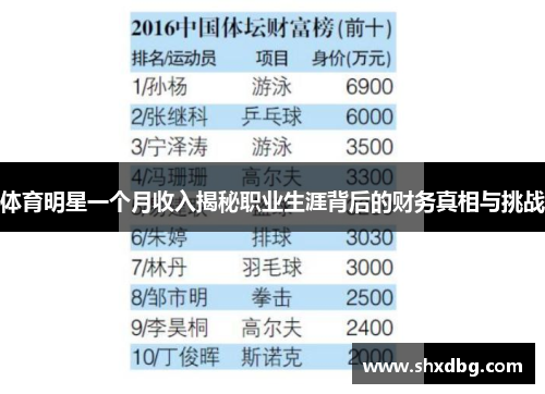 体育明星一个月收入揭秘职业生涯背后的财务真相与挑战